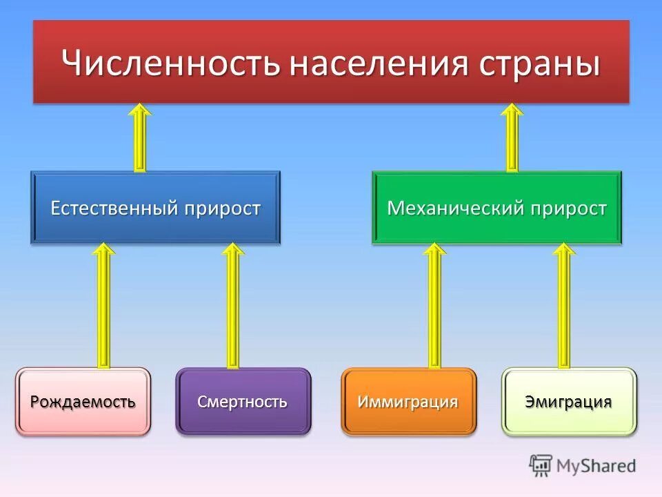 Механический прирост это