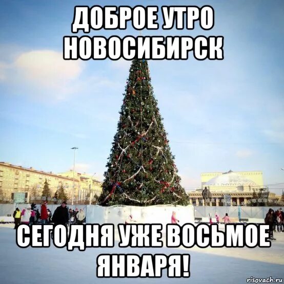 8 января утром. Доброе утро января приколы января. Январские мемы. Доброе утро 1 января картинки. 8 Января смешные картинки.