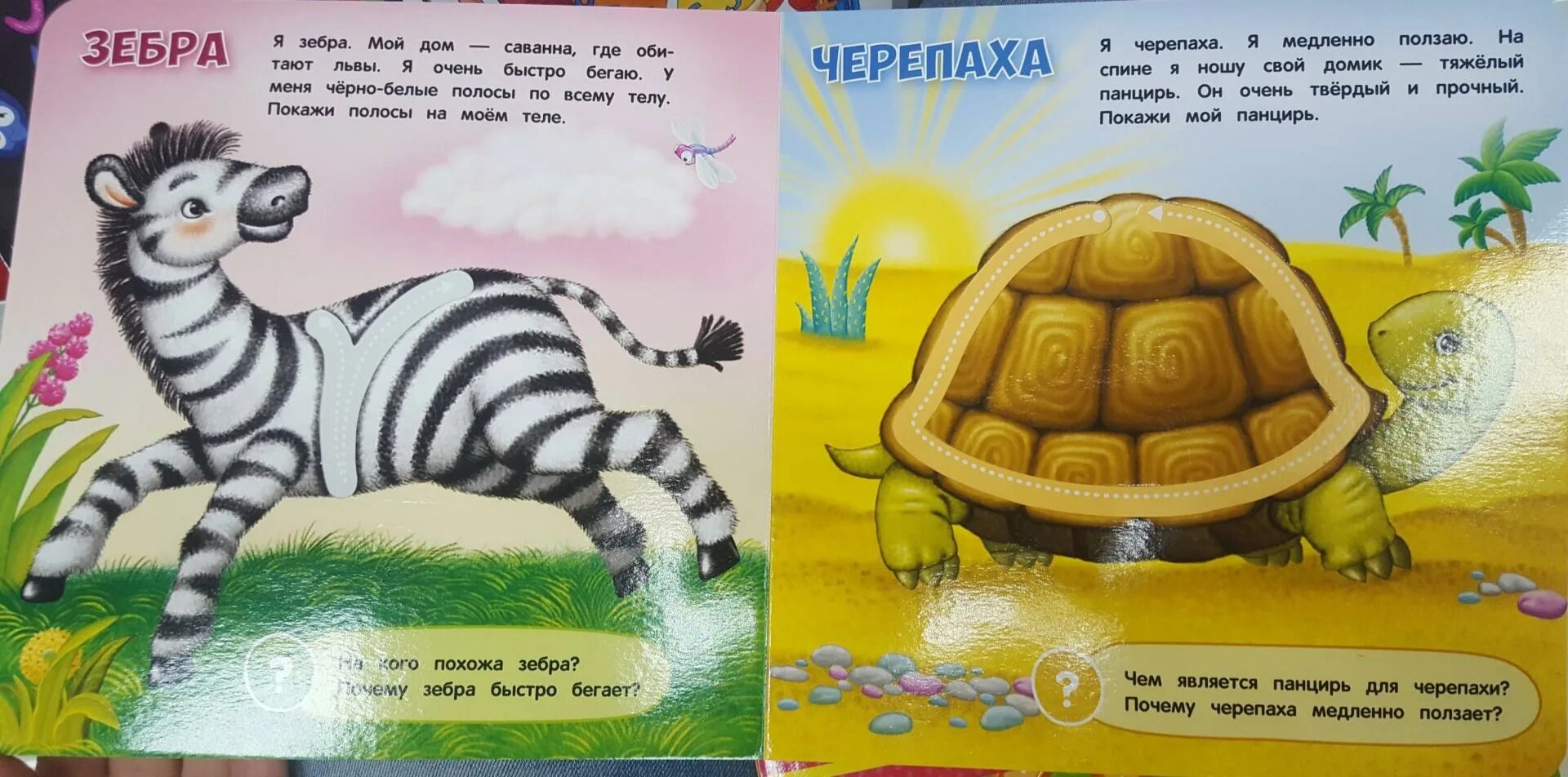 Черепаха медленно ползет. Изображение черепаха медленно ползет. Почему черепахи медленные. Почему черепахи медленно ползают. Кто медленно ползает из животных.