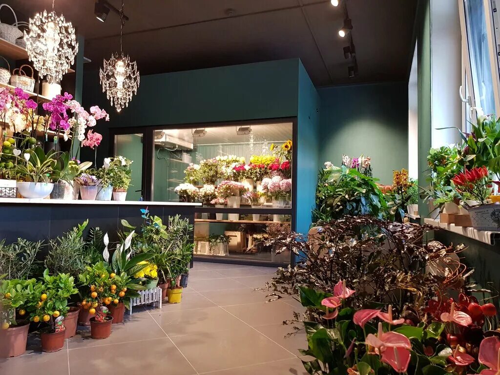 Дом цветов минск. Цветочный магазин. красивые магазины цветов. цветы в магазине. цветы в цветочном магазине.