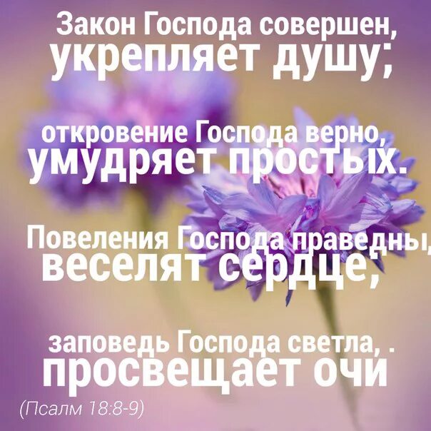 Укрепляющие цитаты. Закон господа совершен укрепляет душу. христианские цитаты. христианское общение высказывание открытки. закон господа совершен укрепляет душу откровение.