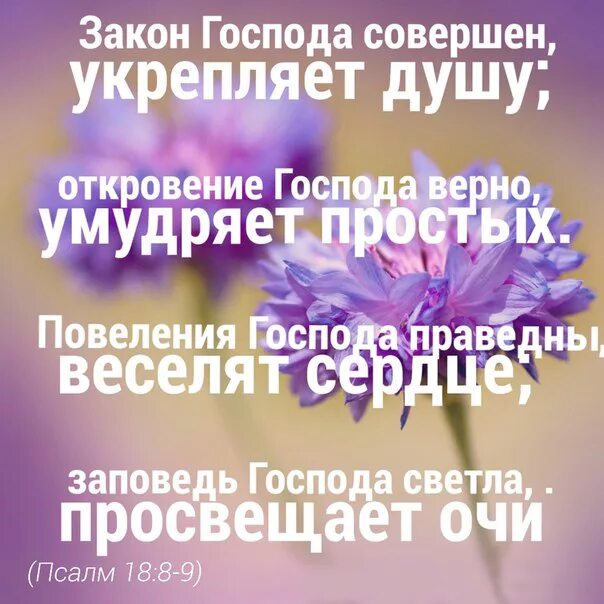 Усилить душу. Закон Господа совершен укрепляет душу. Христианские цитаты. Христианское общение высказывание открытки. Закон Господа совершен укрепляет душу Откровение.