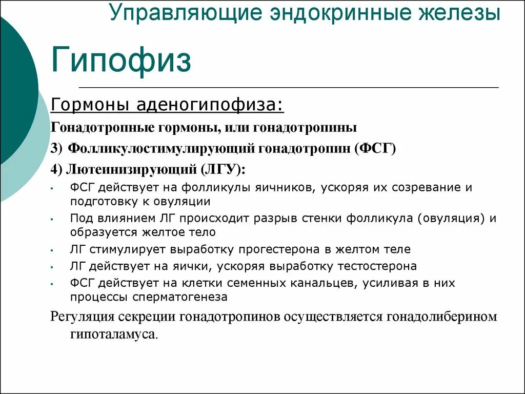 Гонадотропные гормоны ги. Гландотропные гормоны гипофиза. Гонадотропные гормоны аденогипофиза. Управляющие эндокринные железы. Гипофиз эндокринной