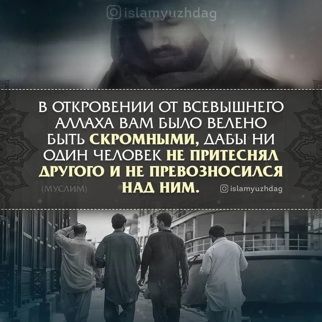 хадисы про собак.