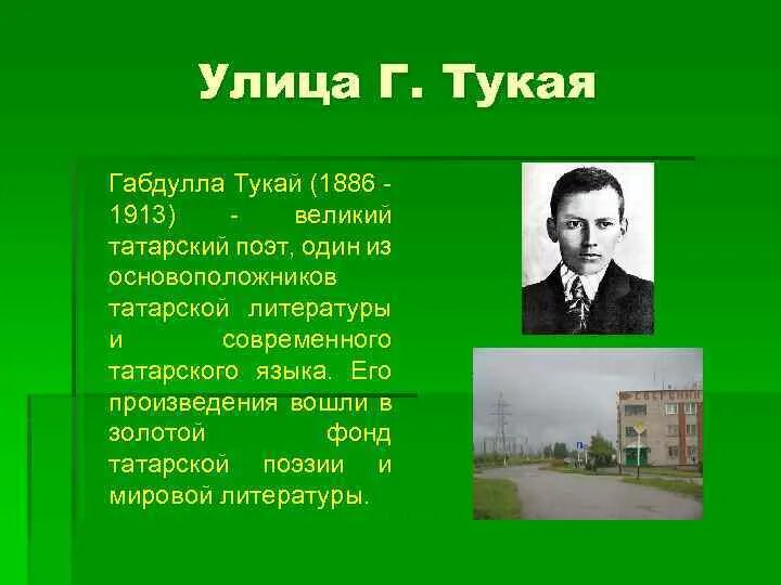 Страницы жизни г тукая. Габдулла Тукай краткая биография. Проект улица Габдуллы Тукая. Сообщение о Габдулла Тукае. Г Тукай биография.