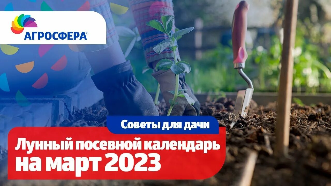 Календарь огородника на март 2023. День посадки цветов. Посадка цветов в марте. Семена для посадки в огороде.