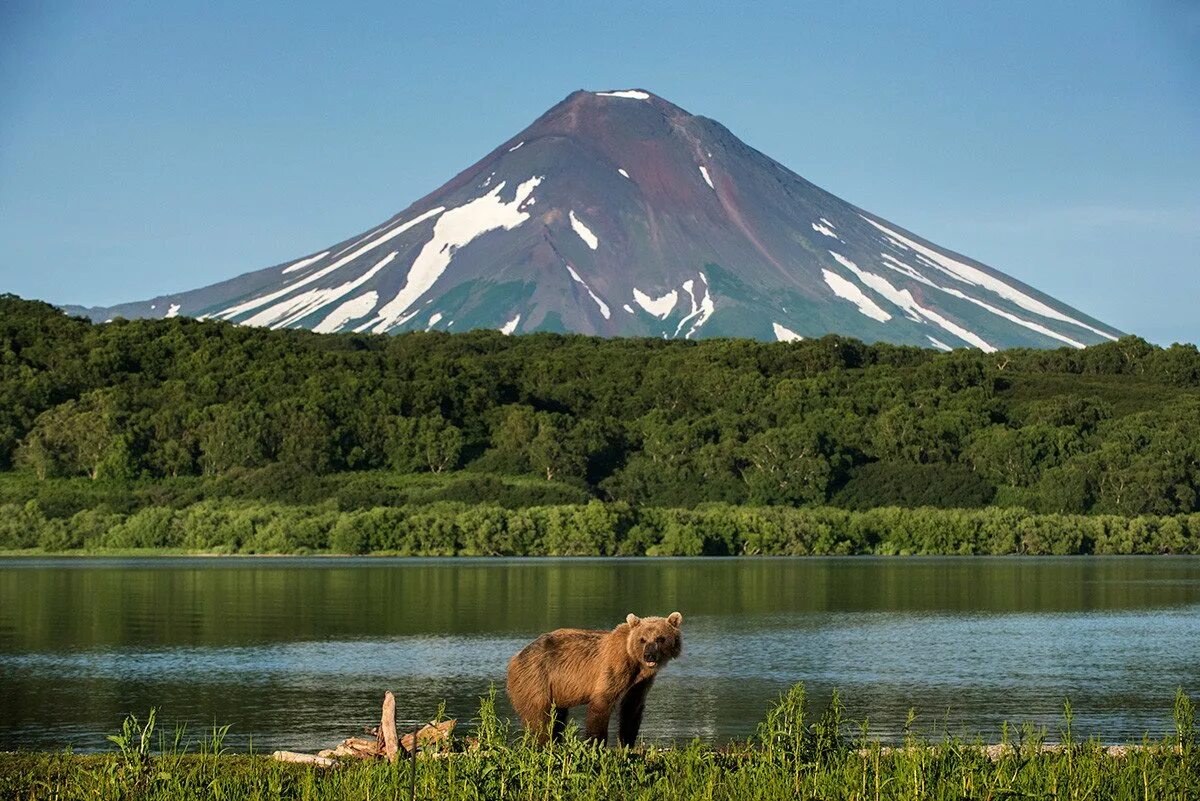 Курильское озеро Камчатка. Крановский заповедник Петропавловск Камчатский. Кроноцкий заповедник Камчатка. Природа Камчатки Петропавловск Камчатский. Kamchatka is in the of russia