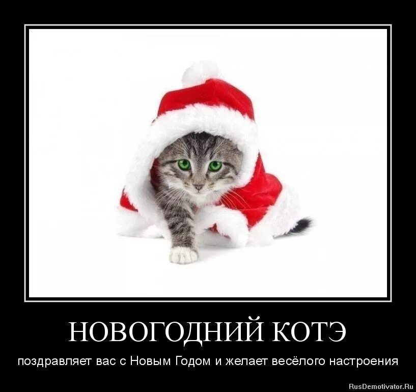 зимний приветик картинки. скоро новый год картинки. откры ки мкоро новйэый гтд. открытки с наступающим новым годом. ждите скоро буду картинки с новым годом.