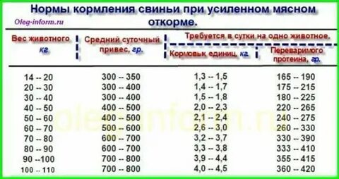 Сколько съел и сколько выйдет