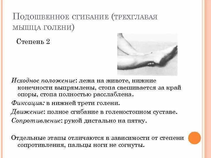 Положение подошвенного сгибания стопы. Подошвенное сгибание стопы в голеностопном суставе. Мышцы разгибающие стопу в голеностопном суставе. Подошвенное сгибание стопы мышцы.