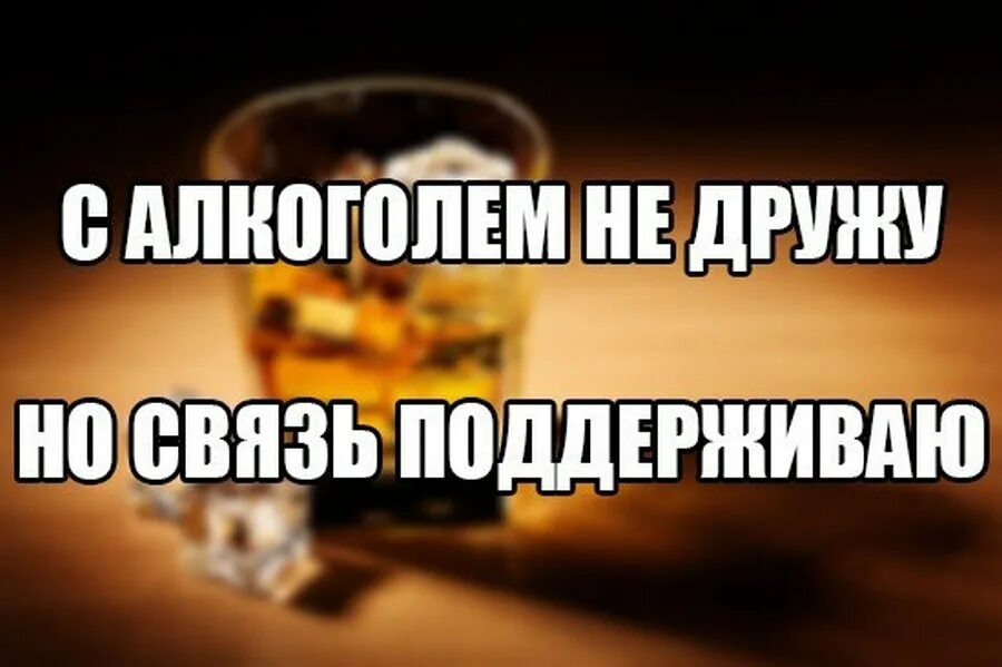 Будем поддерживать связь. С алкоголем не дружу. С алкоголем не дружу но связь. Дружите с алкоголем ?. Приколы про отношения и алкоголь.