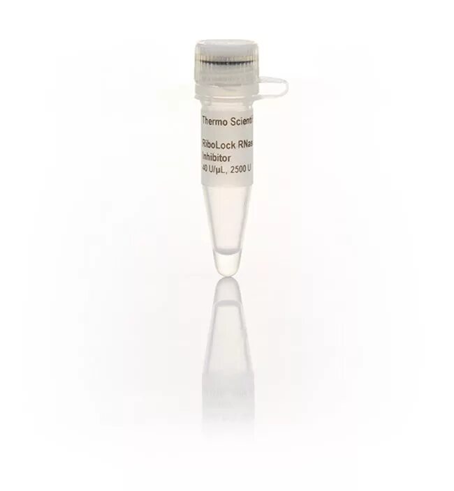 100 мкл в мл. Thermo scientific 0,5-5 мл. 0.1 мл в мкл. праймер phi033-f для молекулярной лаборатории. праймер пцр.