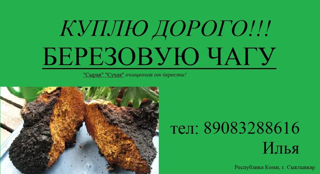 Куда сдать березовый. Добыча березового сока. Куда сдать березовый. Саранский берёзовый сок. Береза и березовый сок.