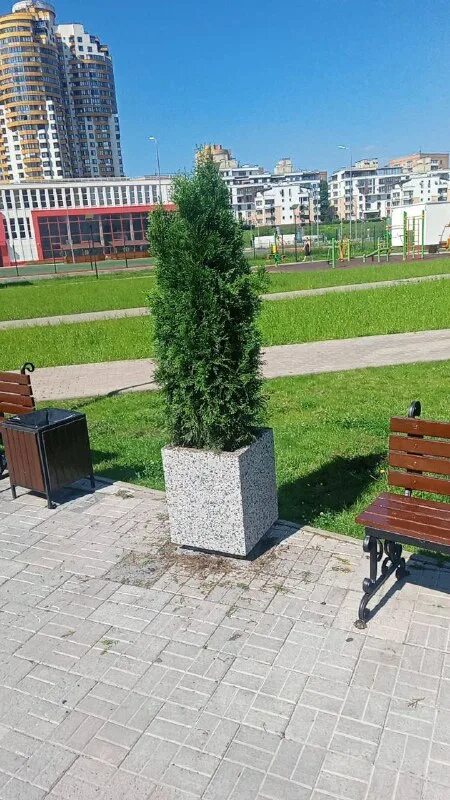 управляющий компания адмирал. домофон на алюминиевую дверь. управляющая компания адмирал. капитан мультяшный. управляющий компания адмирал.