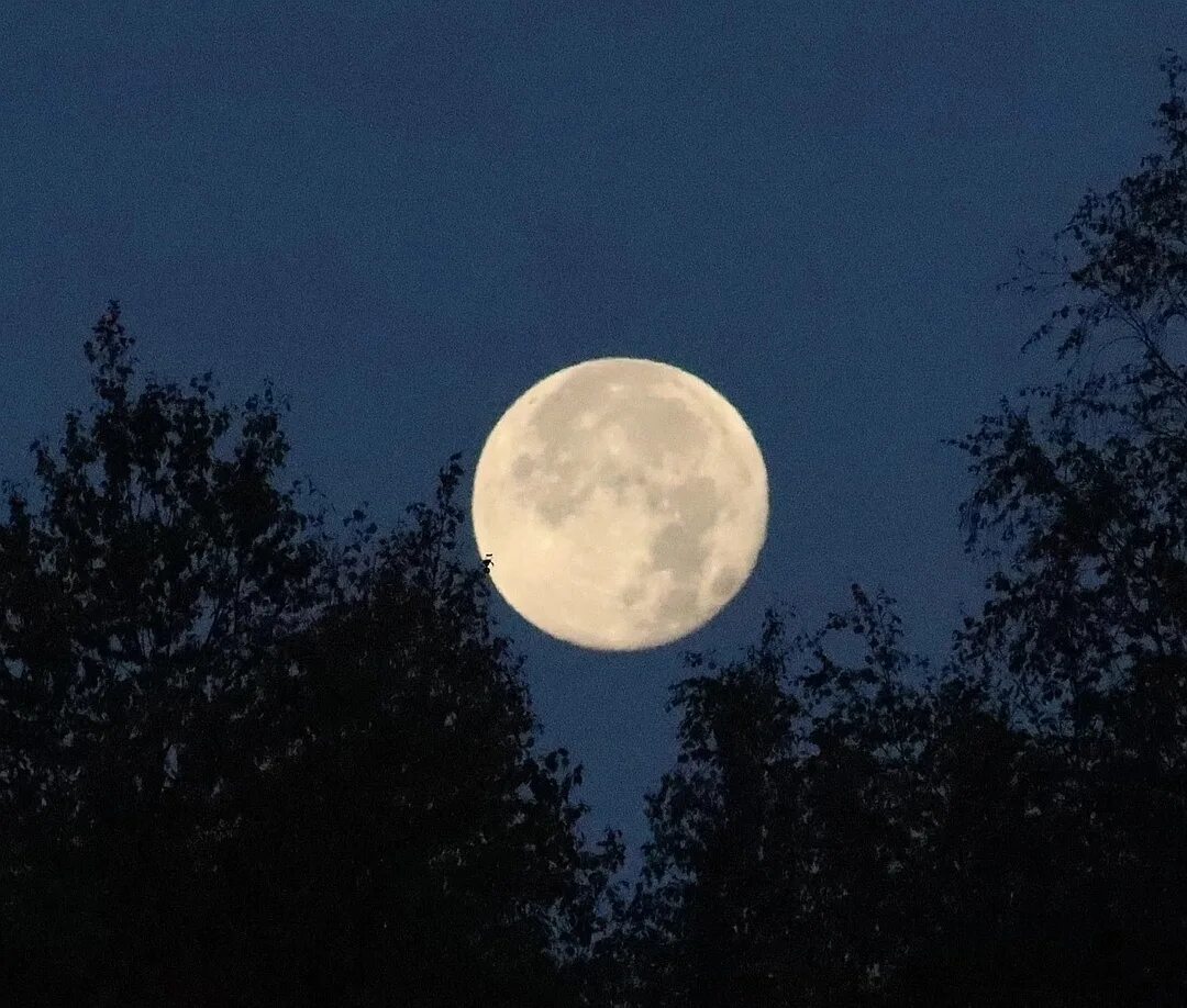 Голубое полнолуние 19 августа 2024. Самая большая луна. Голубое полнолуние 19 августа 2024. Голубое полнолуние 19 августа 2024. Голубое суперлуние.