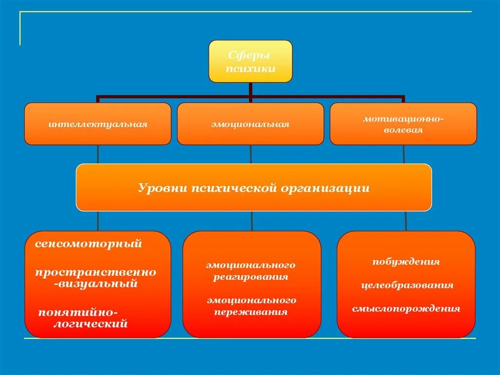 Уровни организации психического. Уровни организации психики. Уровни психической организации. Уровни психологической организации человека. Уровни психической организации человека.