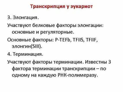 Транскрипция эукариот