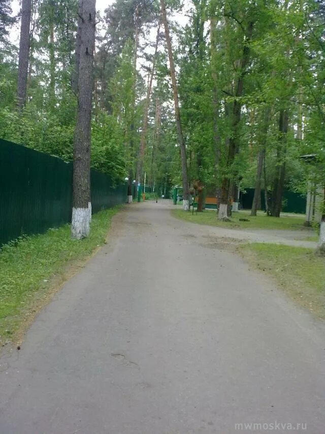 Детский сад сосны управления делами. Песковка детский сад сосенка. Детский сад в соснах. Детский сад сосны управления делами. Детский сад в соснах.