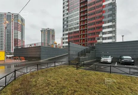 Невские паруса санкт петербург
