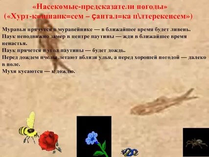 Неподвижно замереть