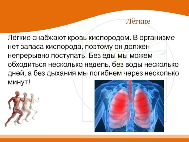 Организм снабжен кислородом.. В организме нет запасов кислорода. Легкий ли кислород