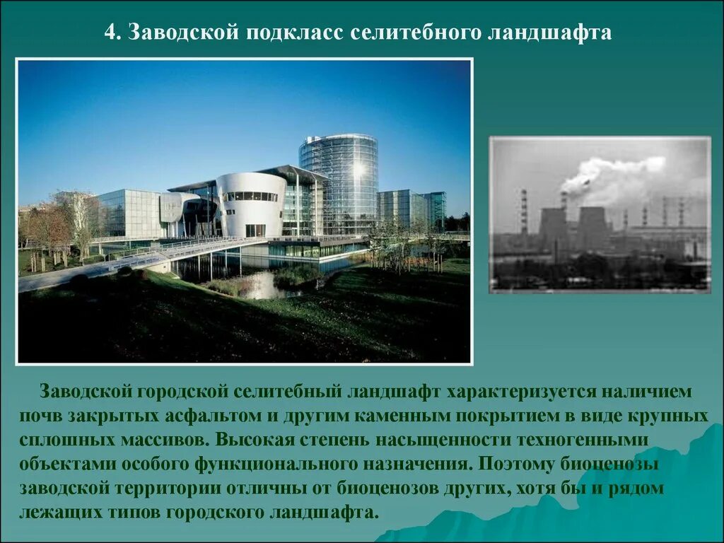 Селитебные ландшафты примеры. Селитебный тип ландшафта. Глазов калининский бульвар. Городской культуорный ландшафт э. Городские селитебные ландшафты.
