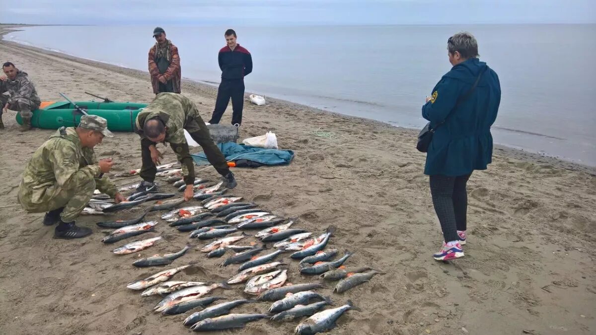 Запрет на ловлю волгоградская область. Статья 256. Незаконная добыча (вылов) водных биологических ресурсов. Незаконный рыбный промысел. Браконьерство водных биоресурсов.