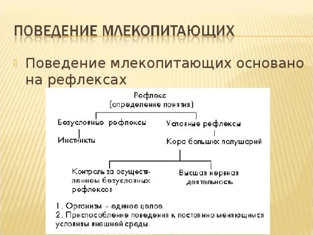 3 отличия инстинктов от рефлексов. 3 отличия инстинктов от рефлексов