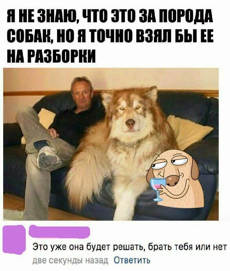 жизнь в кредит за и против доклад. если вы решили взять кредит на что нужно обратить в первую очередь. взять решаться. банки инфографика. кредит люди.