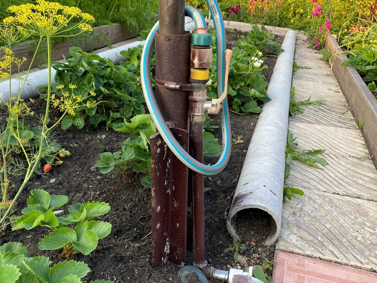 Поливочная магистраль из пнд трубы 32мм. Самодельный капельный струйный полив. Капельный полив труба пнд 20 с капельницами. Полив из пнд трубы. Пнд труба для капельного полива 20 мм.