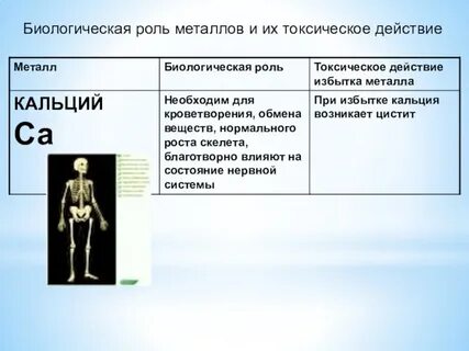 Na биологическая роль