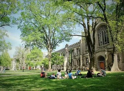 Princeton university