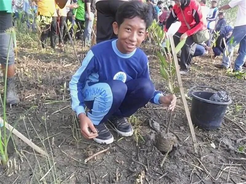 Siswi smp. Risma smp. Abg sd smp. Siswi sd bugil. Risma smp.