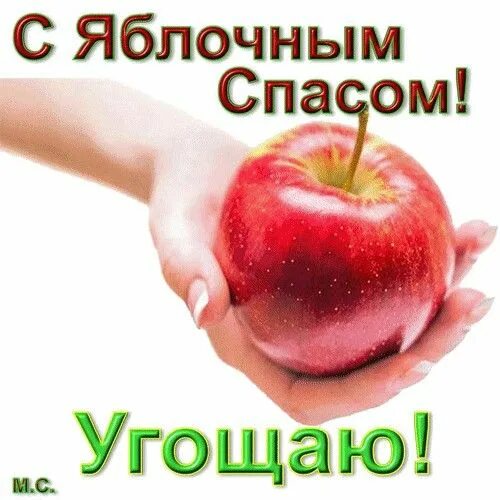 Когда м спас. Яблочный спас. c яблочным спасом. м яблочным спасом. яблоневый спас.