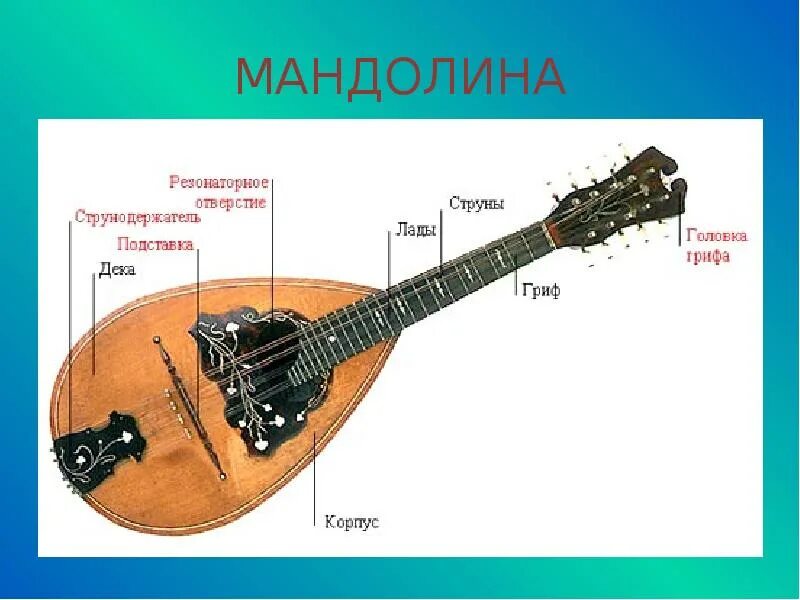 Как играть на мандолине