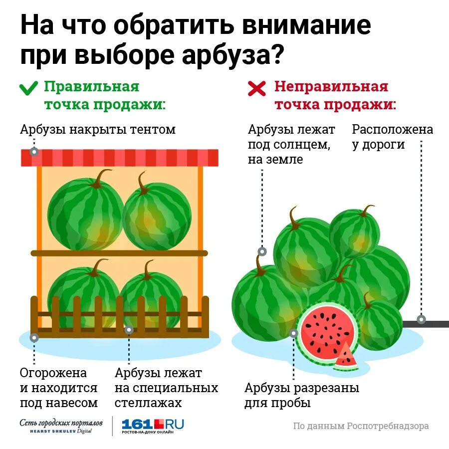 Какой арбуз выбирать. Как выбрать Арбуз. Как выбрать сладкий Арбуз. Как правильно выбрать Арбуз. Как выбирать Арбуз правильно сладкий.