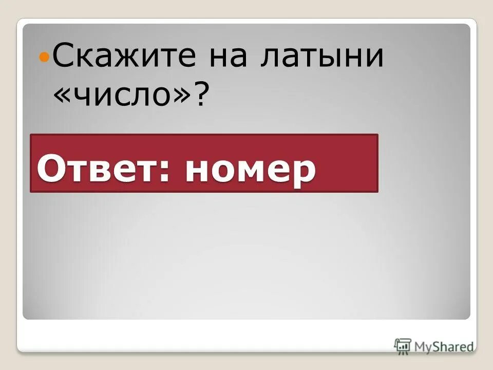 русский язык 1 класс девочка заблудилась в лесу. расскажи номер 6. прочитай незабудка раскрывает синий глаз. расскажи номер 6. шесть по шесть.