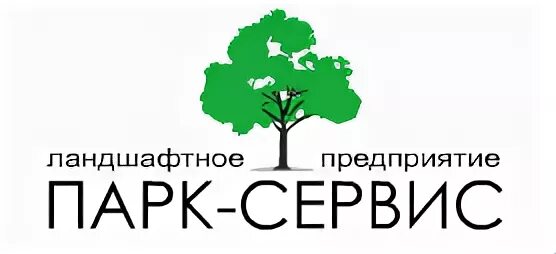Парк сервис казань