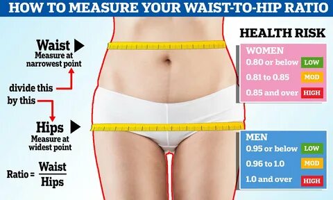 Waist hip