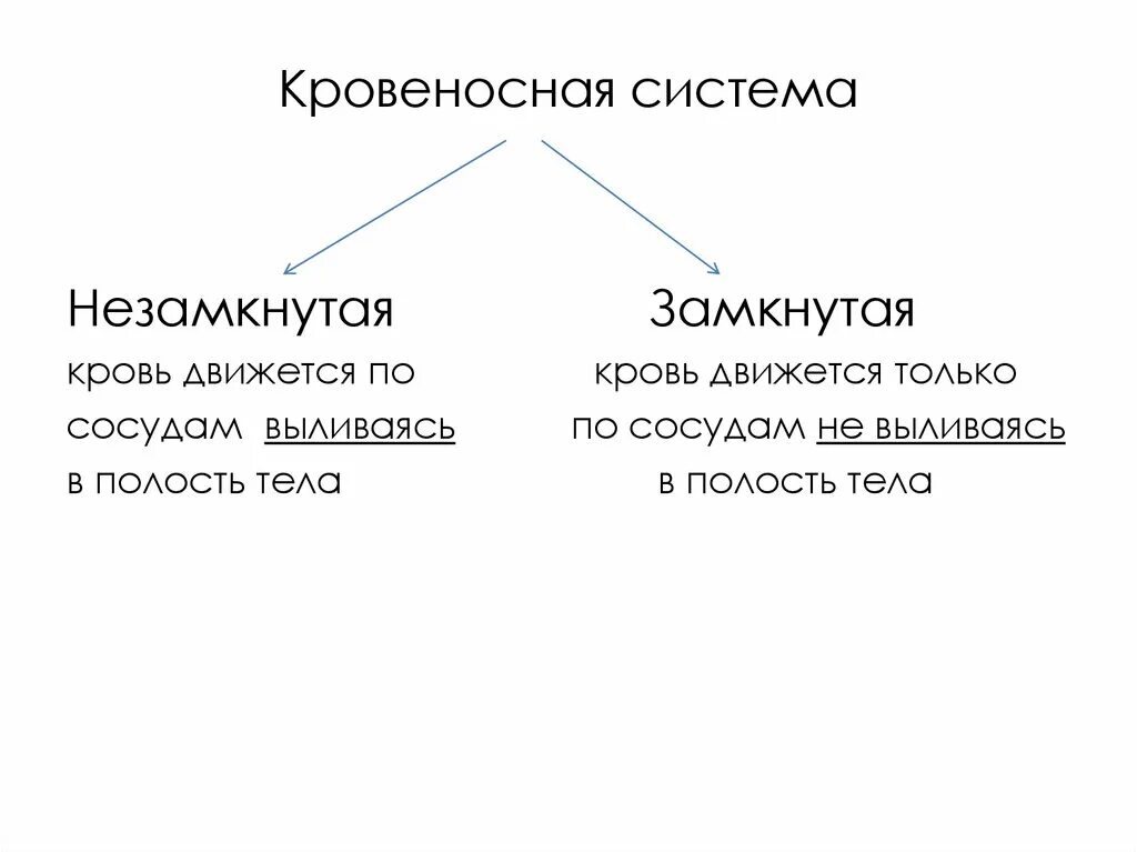 Незамкнутая кровеносная система. Замкнутая кровеносная система. Замкнутая и незамкнутая система кровообращения. Кровеносная система замкнутая и незамкнутая сравнение. Незамкнутая кровеносная система представители