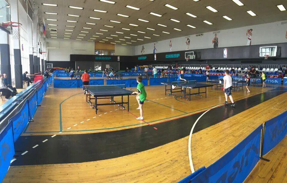 ночная лига настольный теннис тольятти. спортивный зал в техникуме во всеволожске. андрей смирнов теннисист. настольный теннис тольятти волгарь. секция настольного тениса.