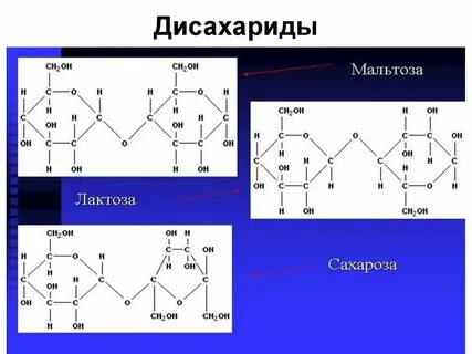 Мальтоза какой углевод