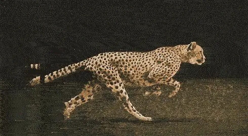 Которой он передвигается