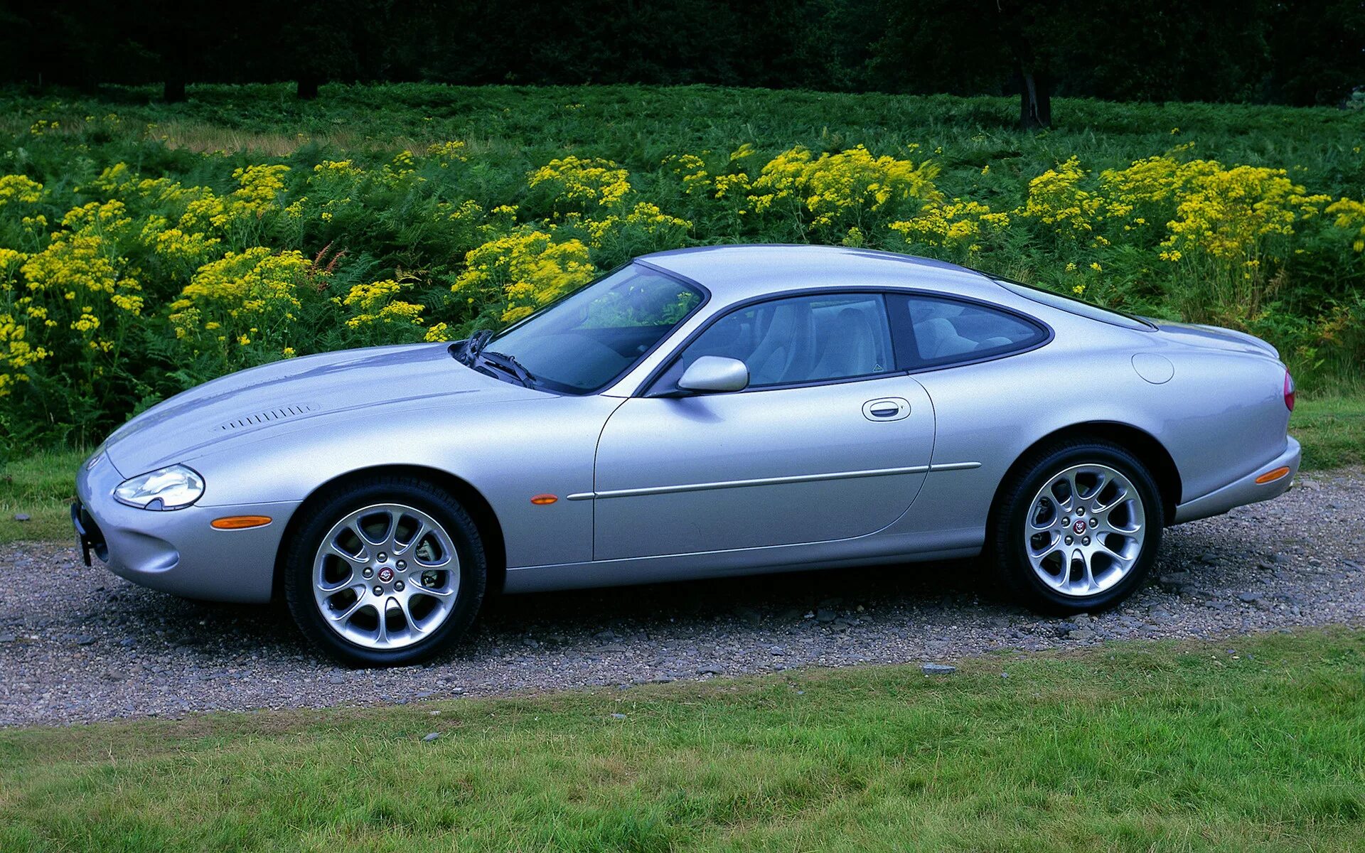 Jaguar XKR 1998. Jaguar XKR Coupe 1998. Jaguar XK 1998. Jaguar XKR 1996. Купе 2000 годов