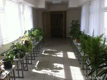 Музыкально педагогический колледж