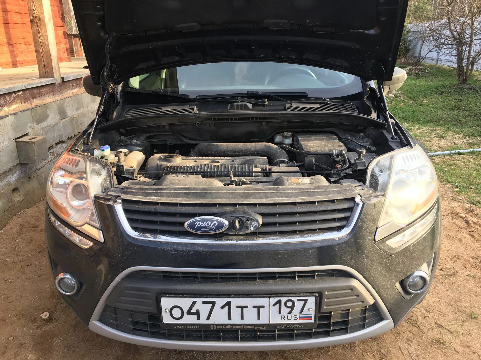 Ford капот открыть. Газовые упоры капота Ford Kuga 2. Капот Форд Куга 2. Упоры капота Форд Куга 2. Ford Kuga открытый капот.