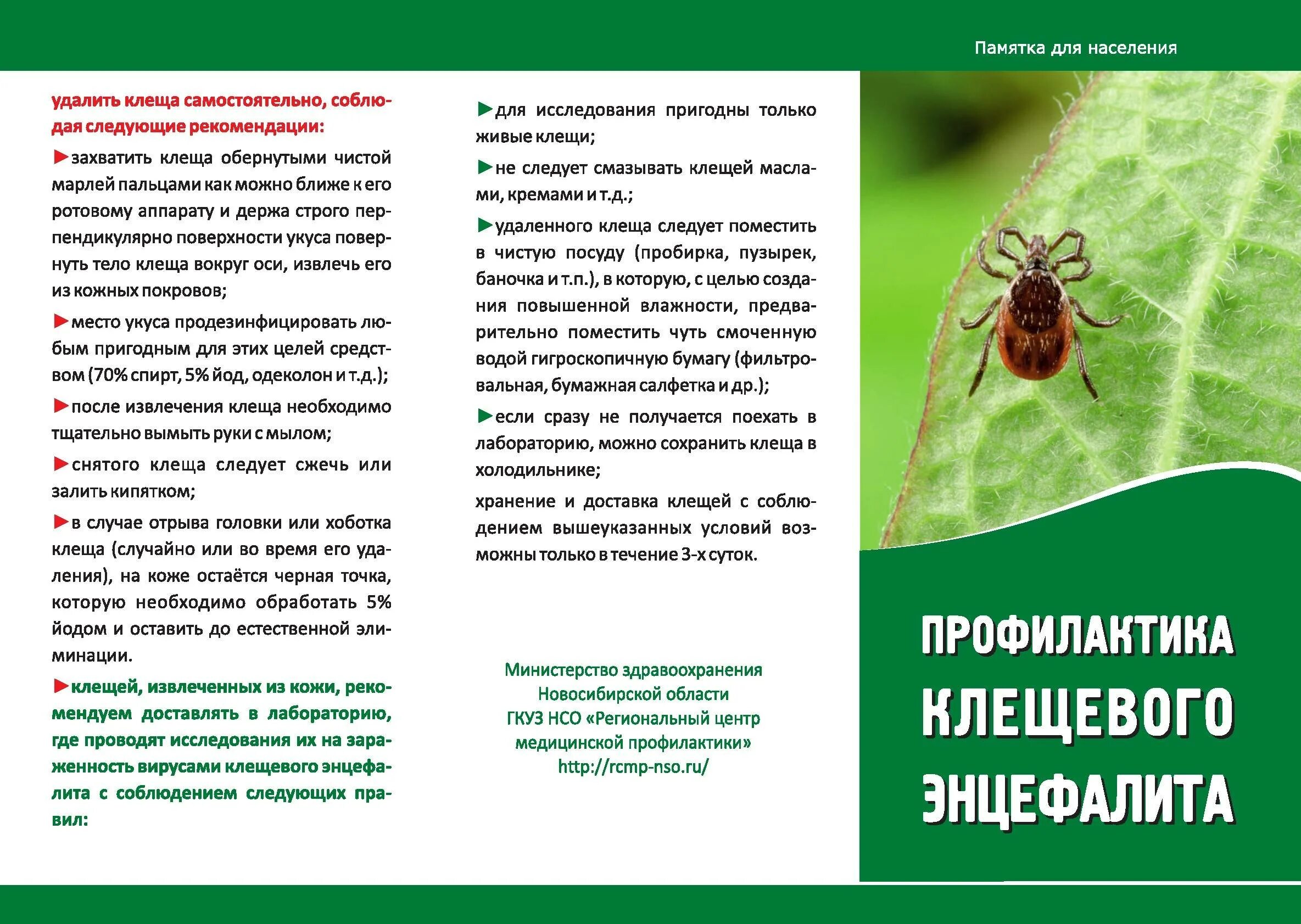 Чем обработать место укуса клеща. Профилактика инфекции клещевого энцефалита. Листовка профилактика клещевого энцефалита. Буклет клещевой энцефалит и его профилактика. Памятка для родителей и детей клещевой энцефалит.