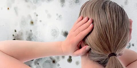 Советы по борьбе с плесенью - Клининговая компания Globalcleaning