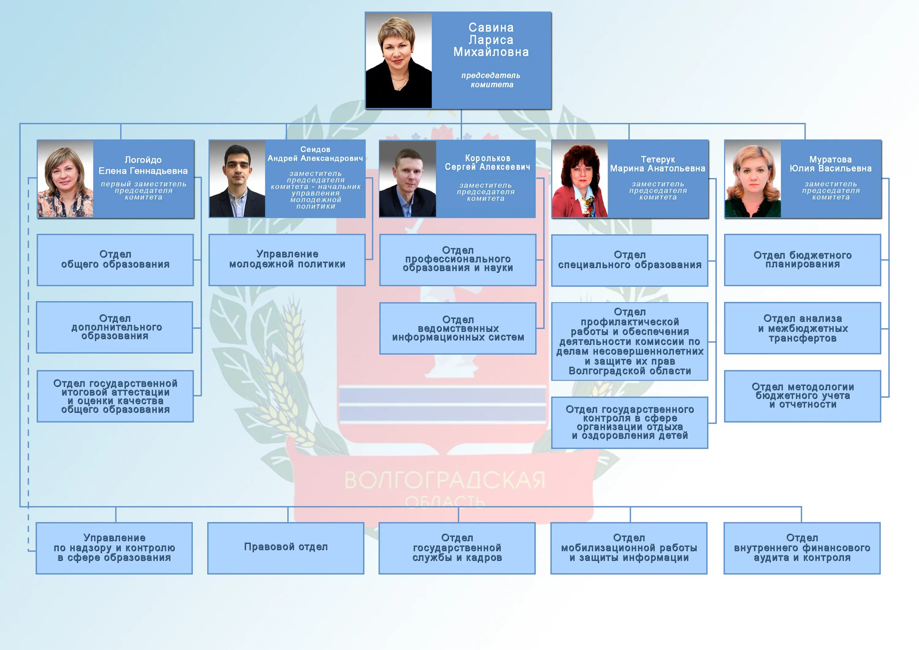 Комитет образования рф. Структура администрации Волгограда схема. Организационная структура администрации Волгограда. Структура комитета по образованию. Структура комитета по образованию Санкт-Петербурга.