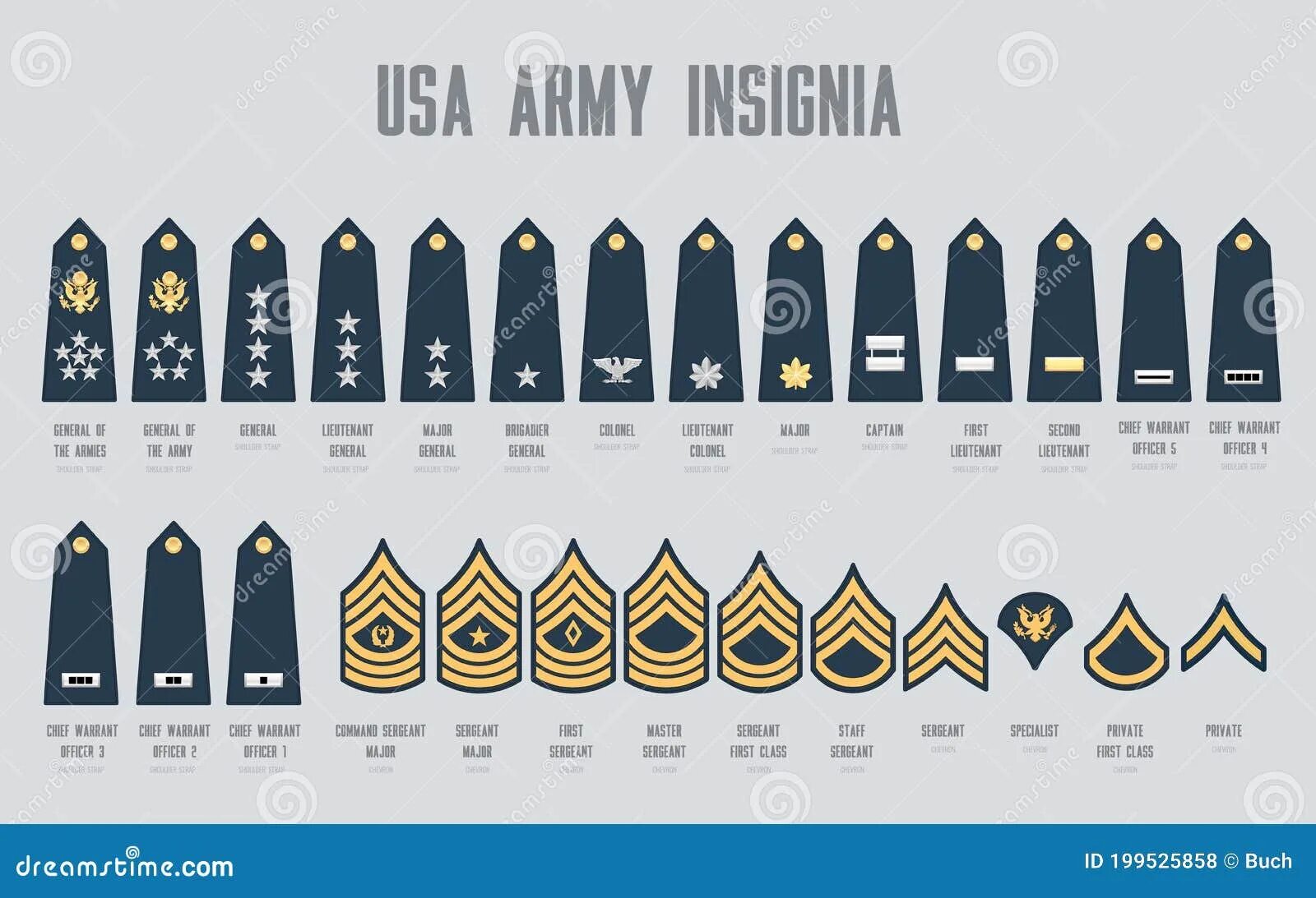 Американские погоны. Нашивки званий США. Звания и знаки различия в армии США. Погоны и звания в армии США. Шевроны армии США звания.